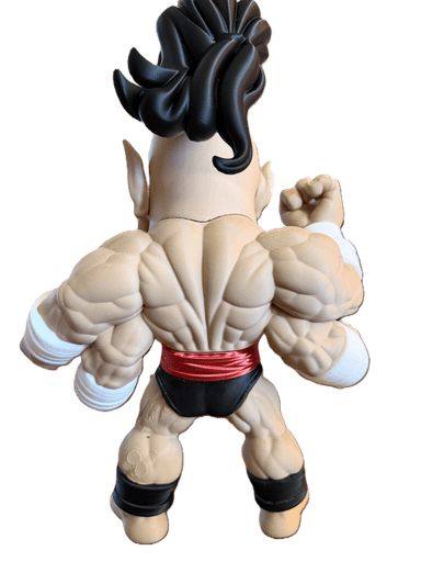 Goro view 4