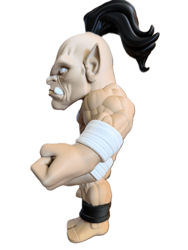 Goro view 3